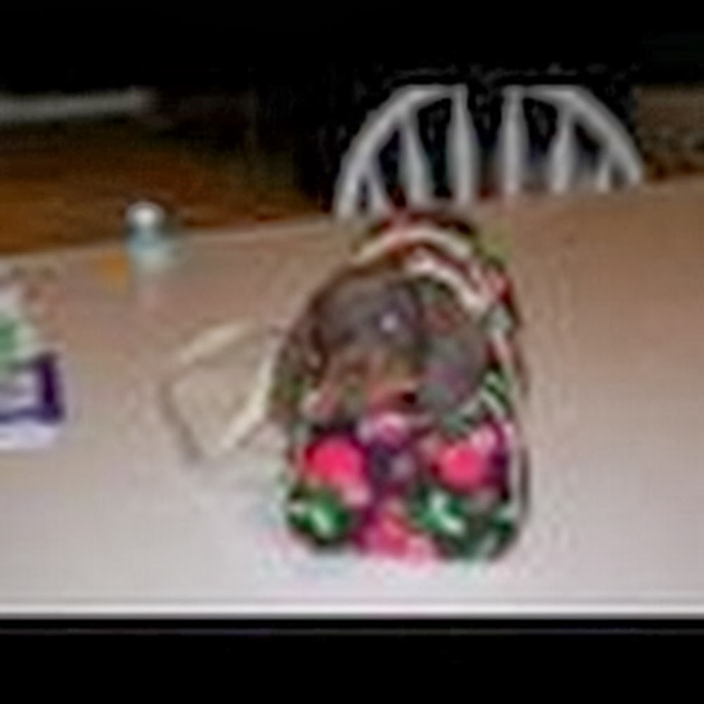 Meet your Posher, Zaylor101